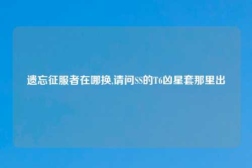 遗忘征服者在哪换,请问SS的T6凶星套那里出