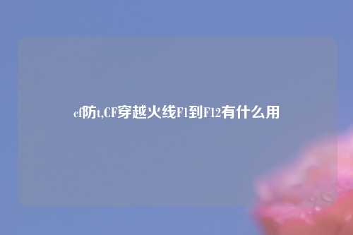 cf防t,CF穿越火线F1到F12有什么用