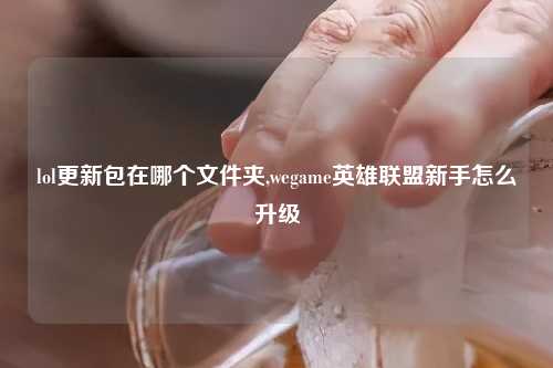 lol更新包在哪个文件夹,wegame英雄联盟新手怎么升级