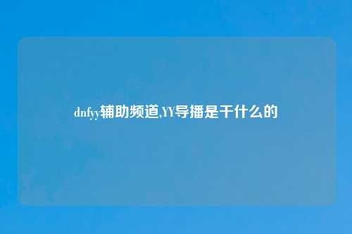dnfyy辅助频道,YY导播是干什么的