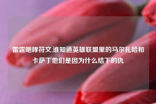 雷霆咆哮符文,谁知道英雄联盟里的马尔扎哈和卡萨丁他们是因为什么结下的仇