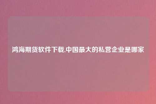 鸿海期货软件下载,中国最大的私营企业是哪家