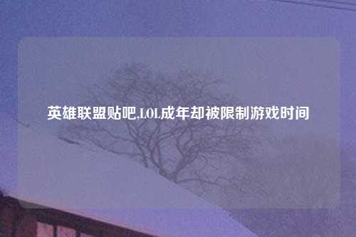 英雄联盟贴吧,LOL成年却被限制游戏时间