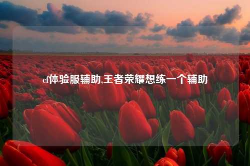 cf体验服辅助,王者荣耀想练一个辅助