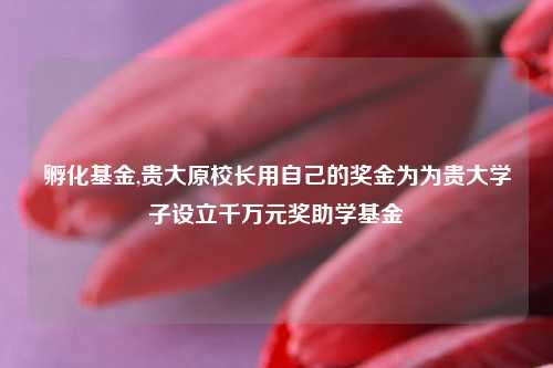 孵化基金,贵大原校长用自己的奖金为为贵大学子设立千万元奖助学基金
