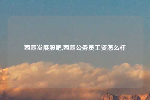 西藏发展股吧,西藏公务员工资怎么样