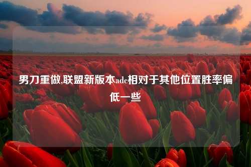 男刀重做,联盟新版本adc相对于其他位置胜率偏低一些