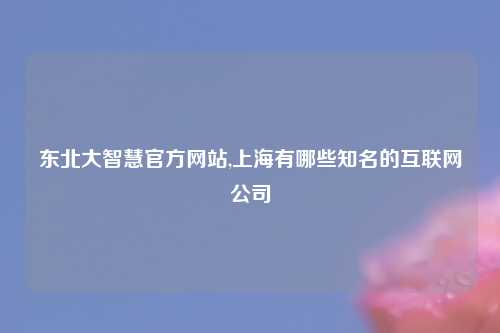 东北大智慧官方网站,上海有哪些知名的互联网公司