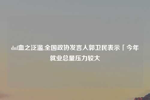 dnf血之泛滥,全国政协发言人郭卫民表示「今年就业总量压力较大