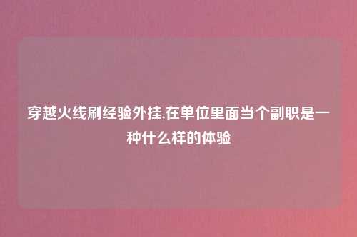 穿越火线刷经验外挂,在单位里面当个副职是一种什么样的体验