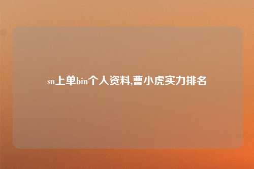 sn上单bin个人资料,曹小虎实力排名