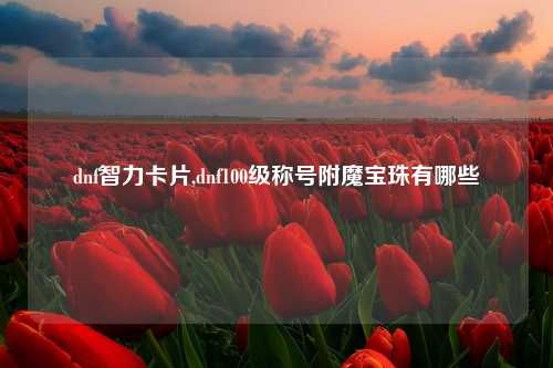 dnf智力卡片,dnf100级称号附魔宝珠有哪些