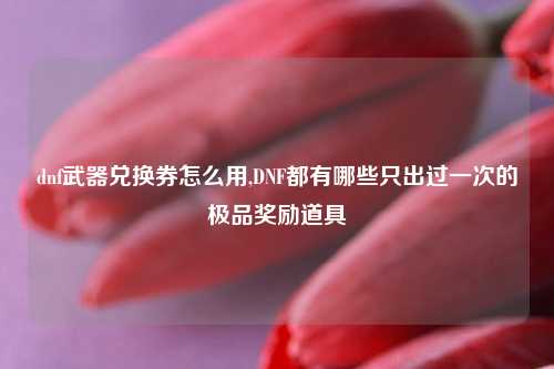 dnf武器兑换券怎么用,DNF都有哪些只出过一次的极品奖励道具