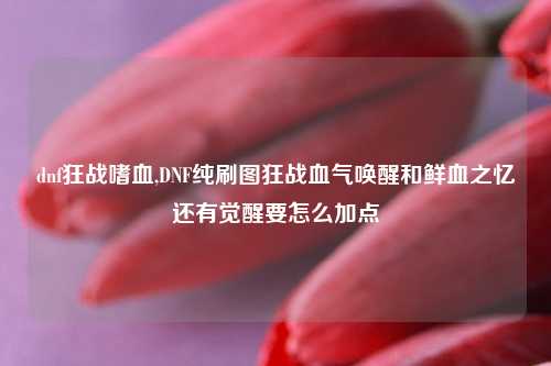 dnf狂战嗜血,DNF纯刷图狂战血气唤醒和鲜血之忆还有觉醒要怎么加点