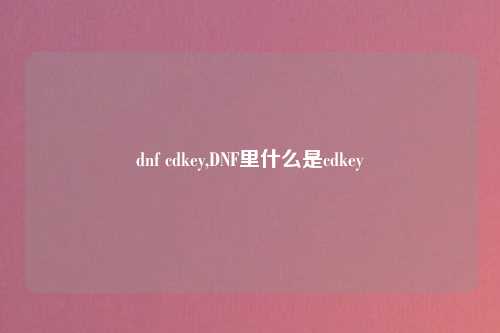 dnf cdkey,DNF里什么是cdkey