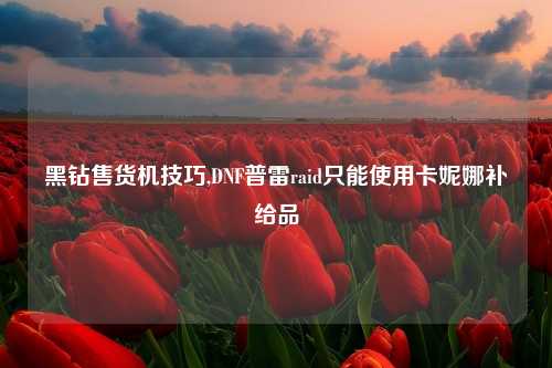 黑钻售货机技巧,DNF普雷raid只能使用卡妮娜补给品