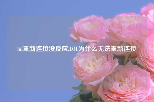 lol重新连接没反应,LOL为什么无法重新连接