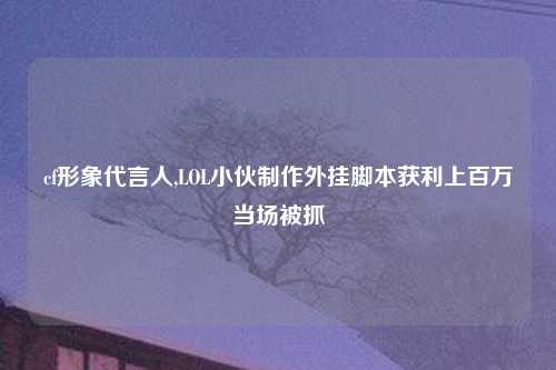 cf形象代言人,LOL小伙制作外挂脚本获利上百万当场被抓