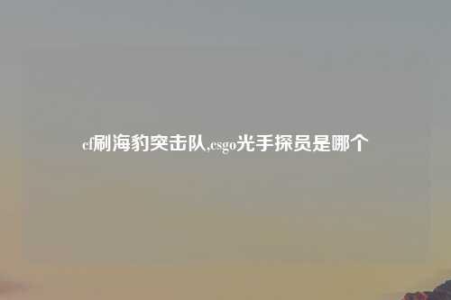cf刷海豹突击队,csgo光手探员是哪个