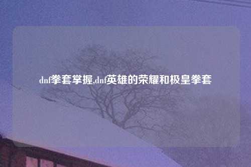 dnf拳套掌握,dnf英雄的荣耀和极皇拳套