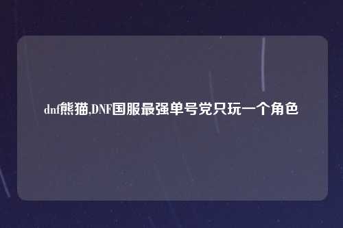 dnf熊猫,DNF国服最强单号党只玩一个角色