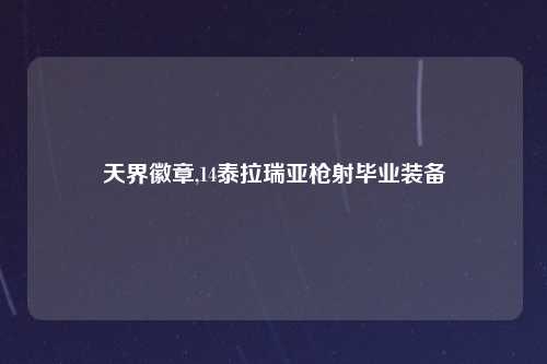 天界徽章,14泰拉瑞亚枪射毕业装备