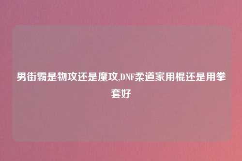 男街霸是物攻还是魔攻,DNF柔道家用棍还是用拳套好