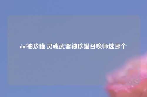 dnf袖珍罐,灵魂武器袖珍罐召唤师选哪个