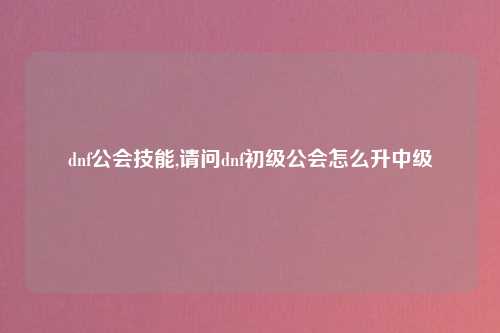 dnf公会技能,请问dnf初级公会怎么升中级