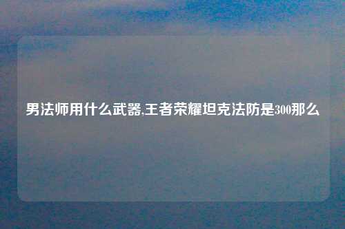 男法师用什么武器,王者荣耀坦克法防是300那么