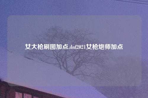 女大枪刷图加点,dnf2021女枪炮师加点