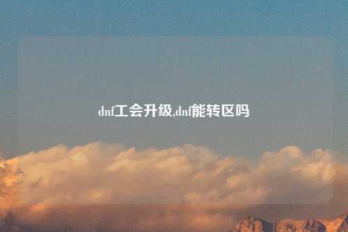 dnf工会升级,dnf能转区吗