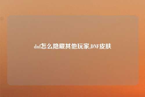 dnf怎么隐藏其他玩家,DNF皮肤