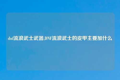 dnf流浪武士武器,DNF流浪武士的皮甲主要加什么