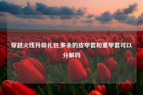 穿越火线升级礼包,多余的皮甲套和重甲套可以分解吗