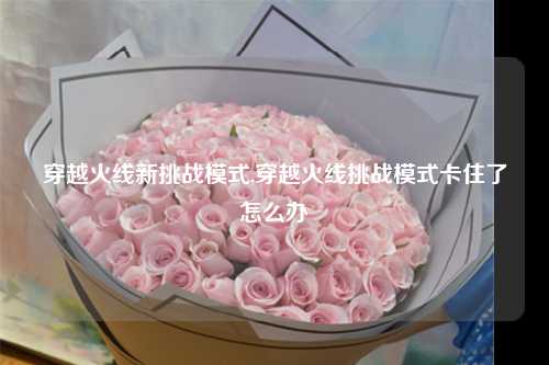 穿越火线新挑战模式,穿越火线挑战模式卡住了怎么办