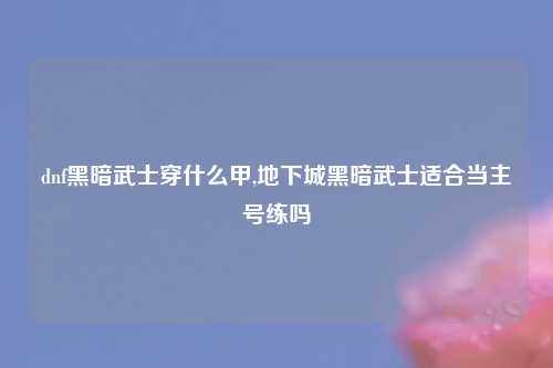 dnf黑暗武士穿什么甲,地下城黑暗武士适合当主号练吗