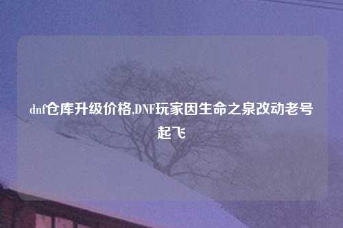 dnf仓库升级价格,DNF玩家因生命之泉改动老号起飞
