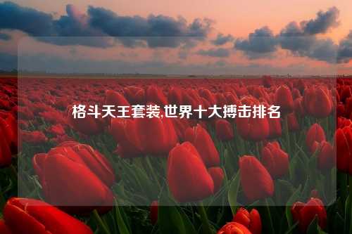 格斗天王套装,世界十大搏击排名