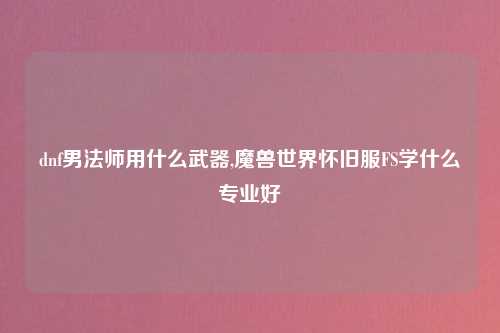 dnf男法师用什么武器,魔兽世界怀旧服FS学什么专业好