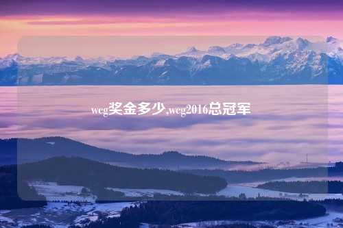 wcg奖金多少,wcg2016总冠军