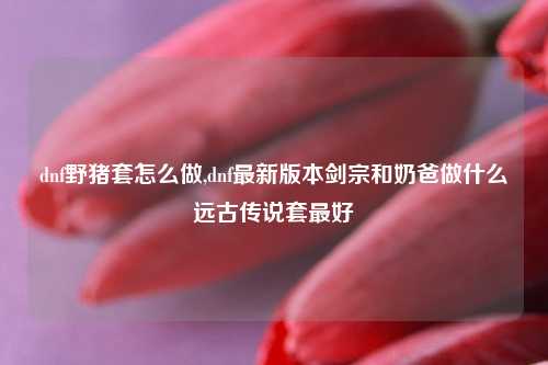 dnf野猪套怎么做,dnf最新版本剑宗和奶爸做什么远古传说套最好