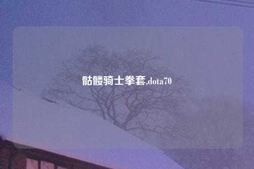 骷髅骑士拳套,dota70