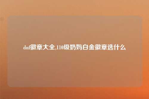 dnf徽章大全,110级奶妈白金徽章选什么