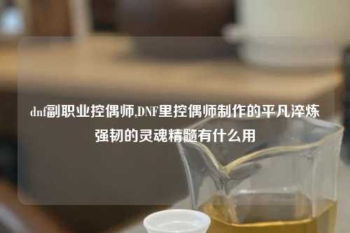 dnf副职业控偶师,DNF里控偶师制作的平凡淬炼强韧的灵魂精髓有什么用