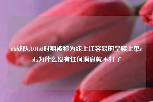 nb战队,LOLs5时期被称为线上江容易的皇族上单cola为什么没有任何消息就不打了