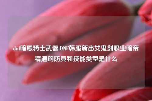 dnf暗殿骑士武器,DNF韩服新出女鬼剑职业暗帝精通的防具和技能类型是什么