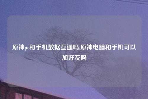 原神pc和手机数据互通吗,原神电脑和手机可以加好友吗