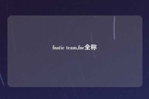 fnatic team,fnc全称