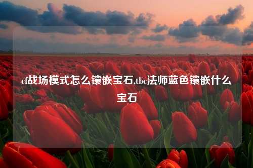cf战场模式怎么镶嵌宝石,tbc法师蓝色镶嵌什么宝石